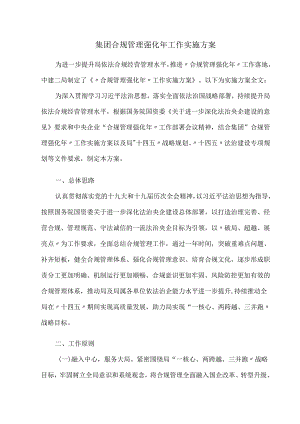 集团合规管理强化年工作实施方案.docx