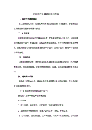不良资产处置项目评估方案.docx