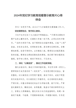 2024年党纪学习教育观看警示教育片心得体会交流发言十三篇.docx
