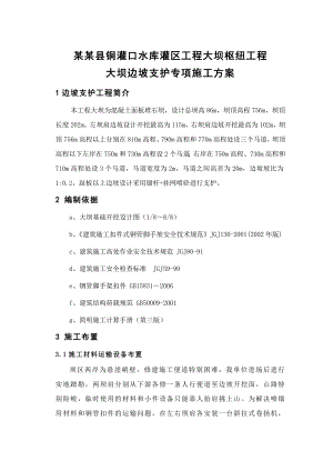 大坝边坡支护施工专项方案.doc
