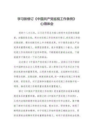 纪检干部学习新修订中国共产党巡视工作条例2024版的心得体会十四篇.docx