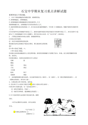 石宝中学期末复习重点讲解试题-2.docx