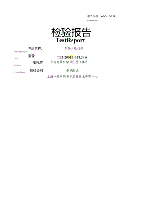 电机公司检验报告.docx