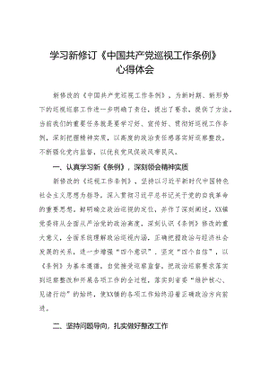 学习新修订中国共产党巡视工作条例(2024版)心得体会十四篇.docx