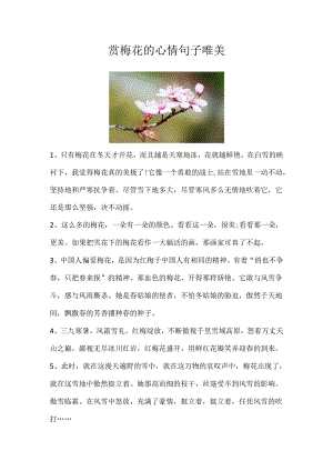 赏梅花的心情句子唯美.docx