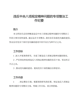 违反中央八项规定精神问题的专项整治工作纪要.docx