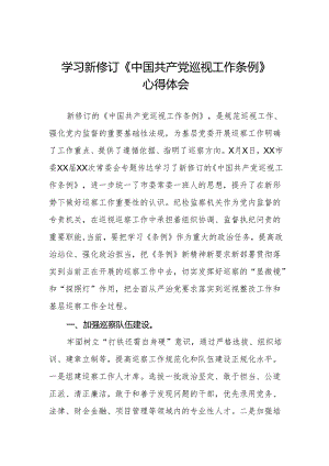 学习新修订《中国共产党巡视工作条例》心得体会交流发言两篇.docx