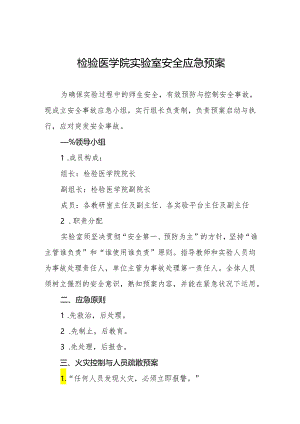 检验医学院实验室安全应急预案.docx