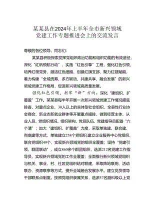 某某县在2024年上半年全市新兴领域党建工作专题推进会上的交流发言.docx