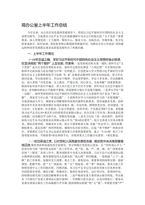 局办公室上半年工作总结.docx