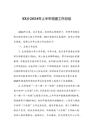 XX乡2024年上半年党建工作总结.docx