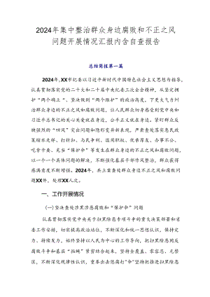 2024年集中整治群众身边腐败和不正之风问题开展情况汇报内含自查报告.docx