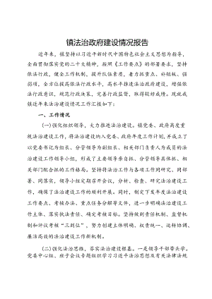 镇法治政府建设情况报告.docx