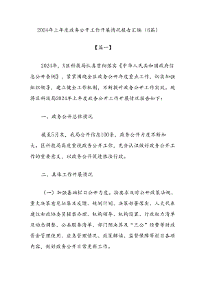 (6篇)2024年上年度政务公开工作开展情况报告汇编.docx