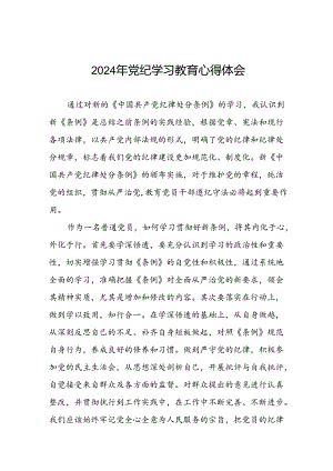 关于2024年党纪学习教育活动心得体会发言稿二十一篇.docx