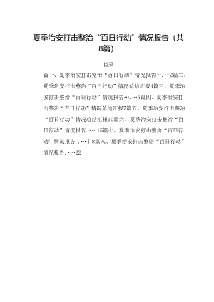 (八篇)夏季治安打击整治“百日行动”情况报告精选资料.docx