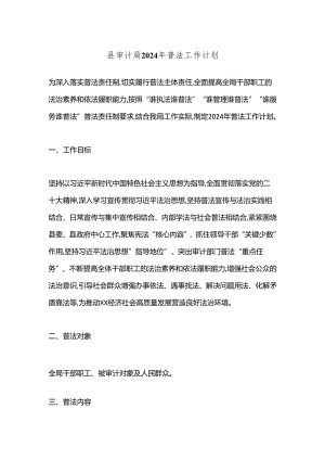县审计局2024年普法工作计划.docx
