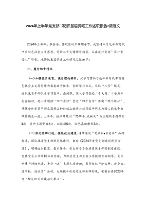 2024年上半年党支部书记抓基层党建工作述职报告2篇范文.docx