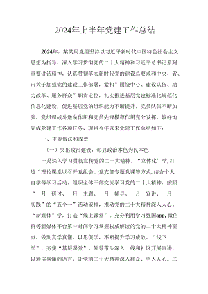 2024年开展《上半年党建》工作总结汇报.docx