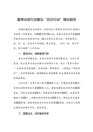 2024年公安夏季治安打击整治行动工作总结十四篇.docx