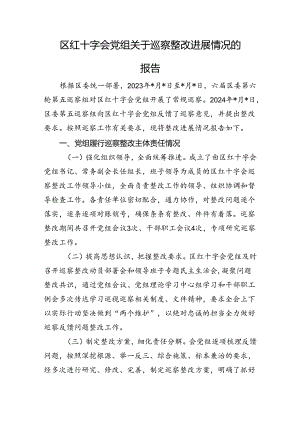 区红十字会党组关于巡察整改进展情况的报告.docx