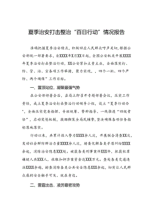 2024年公安夏季治安打击整治行动工作总结15篇.docx