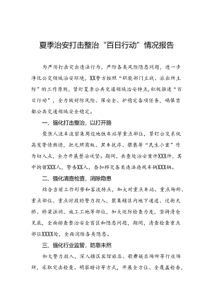 二十三篇2024年公安推动夏季治安打击整治行动的情况报告.docx