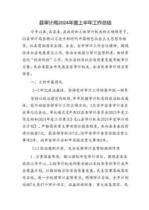 县审计局2024年度上半年工作总结.docx