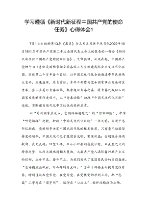 学习《新时代新征程中国共产党的使命任务》心得体会读后有感想研讨发言2篇.docx
