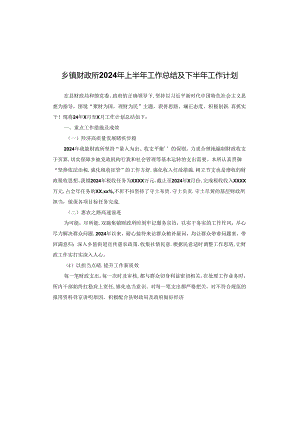 乡镇财政所2024年上半年工作总结及下半年工作计划.docx