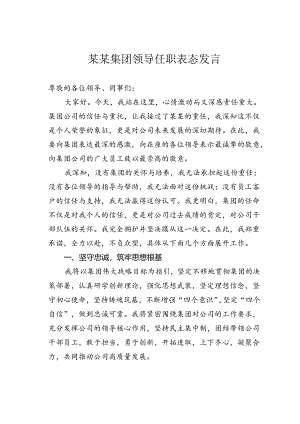 某某集团领导任职表态发言.docx