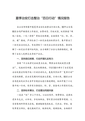 二十三篇2024年夏季治安打击整治行动开展情况汇报.docx