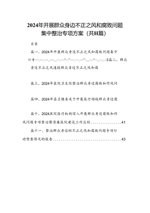 2024年开展群众身边不正之风和腐败问题集中整治专项方案（共11篇）.docx