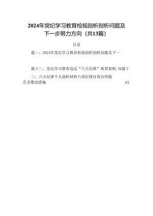 2024年党纪学习教育检视剖析剖析问题及下一步努力方向13篇（精选）.docx