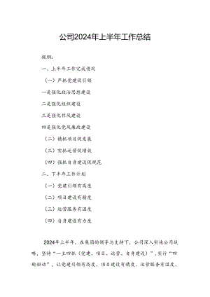 公司2024年上半年工作总结.docx