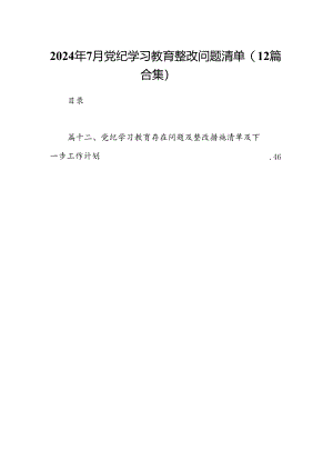 2024年7月党纪学习教育整改问题清单(12篇合集）.docx