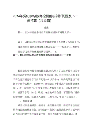 2024年党纪学习教育检视剖析剖析问题及下一步打算（共13篇）.docx