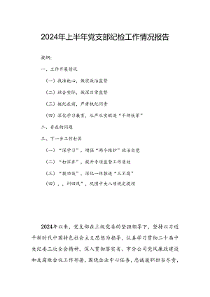 2024年上半年党支部纪检工作情况报告.docx