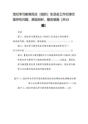 党纪学习教育民主（组织）生活会工作纪律方面存在问题、原因剖析、整改措施12篇（精选版）.docx