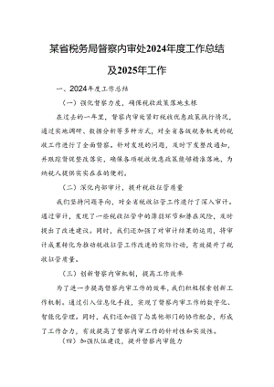 某省税务局督察内审处2024年度工作总结及2025年工作.docx