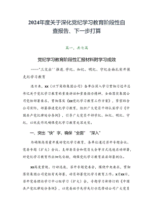 2024年度关于深化党纪学习教育阶段性自查报告、下一步打算.docx