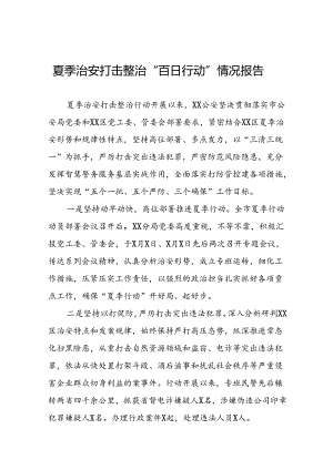 二十三篇2024年公安扎实推进夏季治安打击整治行动工作总结.docx