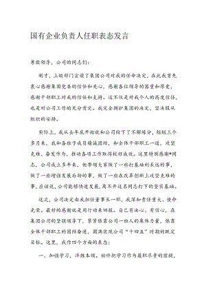 国有企业负责人任职表态发言.docx