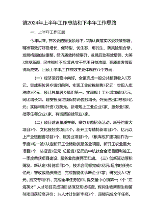 乡镇2024年上半年工作总结和下半年工作思路.docx