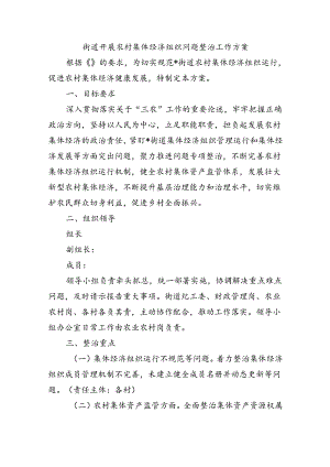 街道开展农村集体经济组织问题整治工作方案.docx