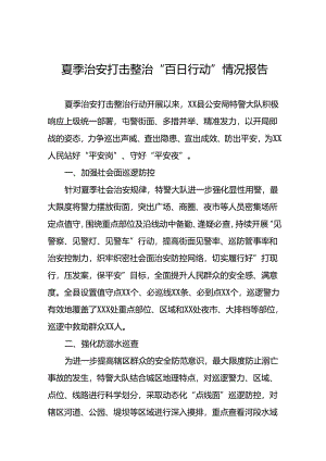 公安2024年夏季治安打击整治行动情况汇报二十一篇.docx