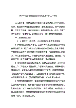 2024年关于基层党建工作总结及下一步工作计划5篇（详细版）.docx
