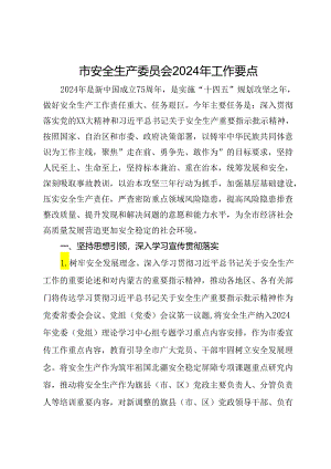 市安全生产委员会2024年工作要点.docx