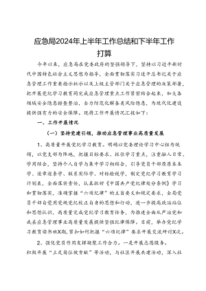 应急管理局2024年上半年工作总结和下半年工作打算.docx