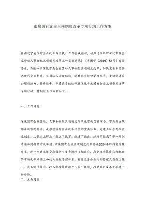 市属国有企业三项制度改革专项行动工作方案.docx